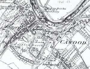 This first edition OS map shows the orchards appearing in the gardens and crofts of many houses.
